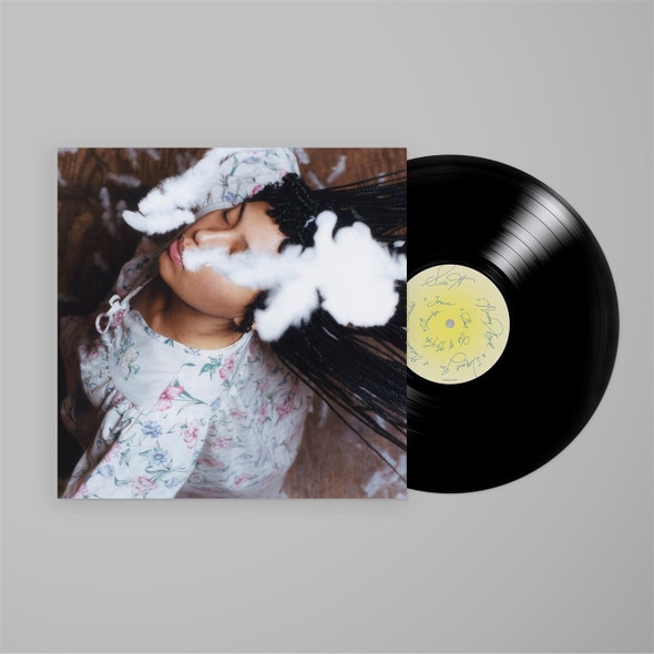 June Mcdoom - Follow The Light Vinyl Record Album Art