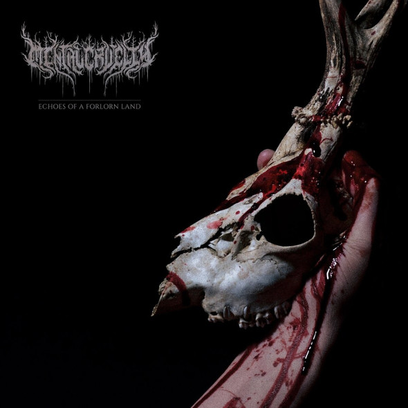 Mental Cruelty - Echoes Of A Forlorn Land Vinyl Record Album Art