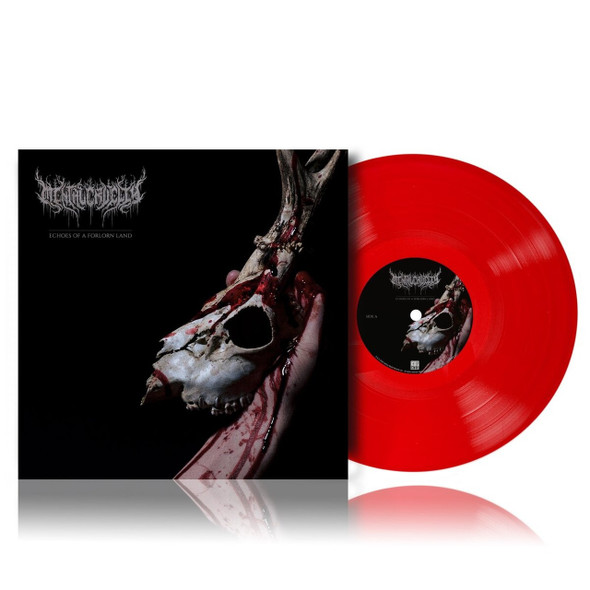 Picture of Echoes Of A Forlorn Land Vinyl Record