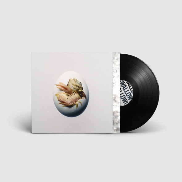 Picture of Swallow! Vinyl Record