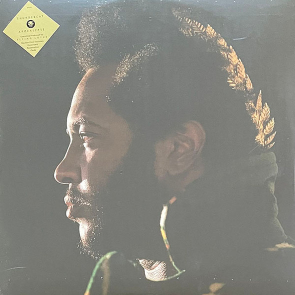 Thundercat - Apocalypse Vinyl Record Album Art