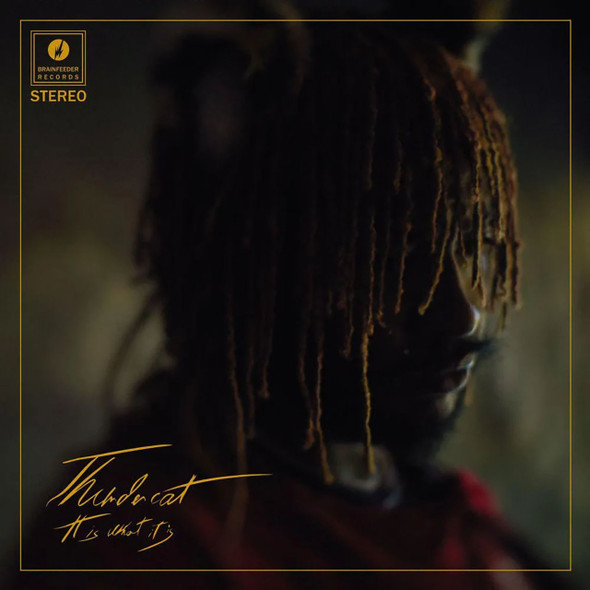 Thundercat - It Is What It Is Vinyl Record Album Art