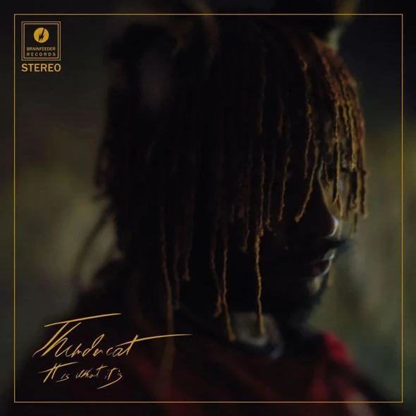 Thundercat - It Is What It Is Vinyl Record Album Art