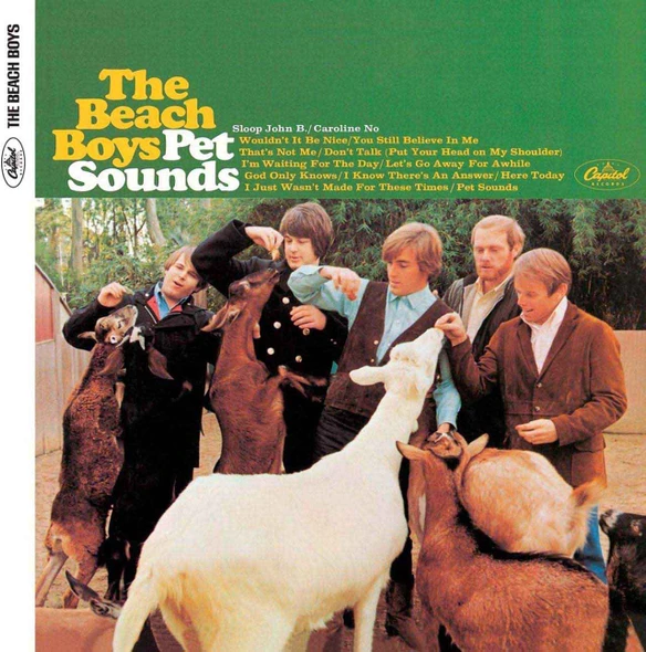The Beach Boys - Pet Sounds Vinyl Record Album Art