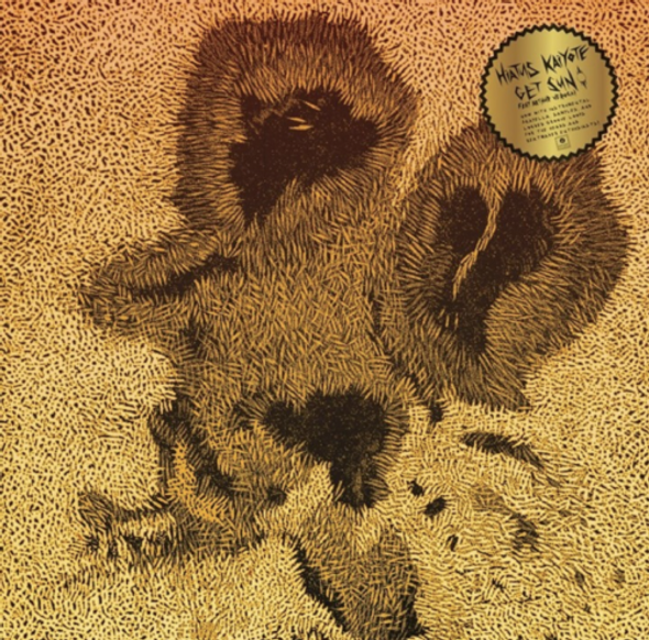 Hiatus Kaiyote - Get Sun Vinyl Record Album Art
