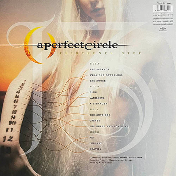 Picture of Thirteenth Step Vinyl Record