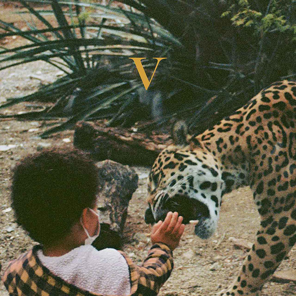 Unknown Mortal Orchestra - V Vinyl Record Album Art