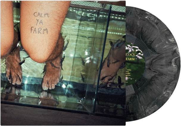 The Murlocs - Calm Ya Farm Vinyl Record Album Art