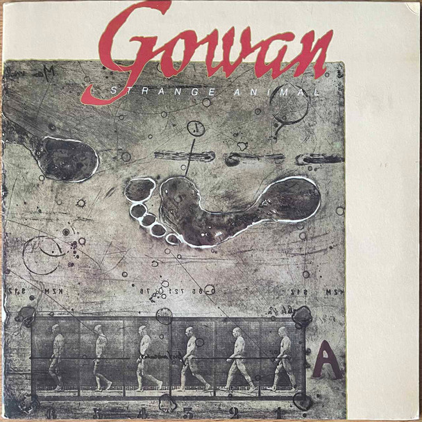 Actual image of the vinyl record album artwork of Gowan's Strange Animal LP - taken in our record store