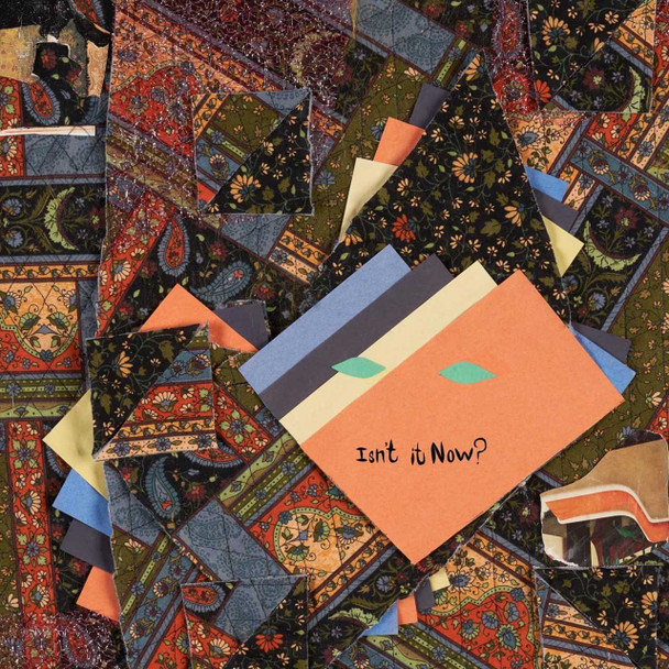 Animal Collective - Isn't It Now? Vinyl Record Album Art