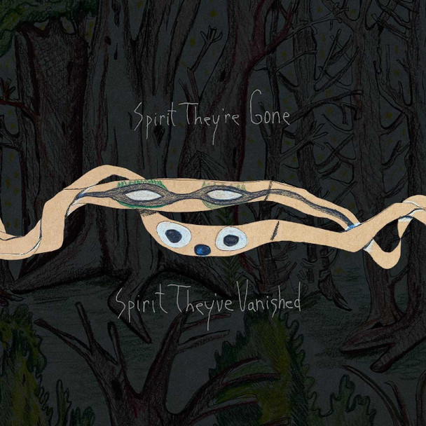 Animal Collective - Spirit They're Gone Spirit They've Vanished Vinyl Record Album Art