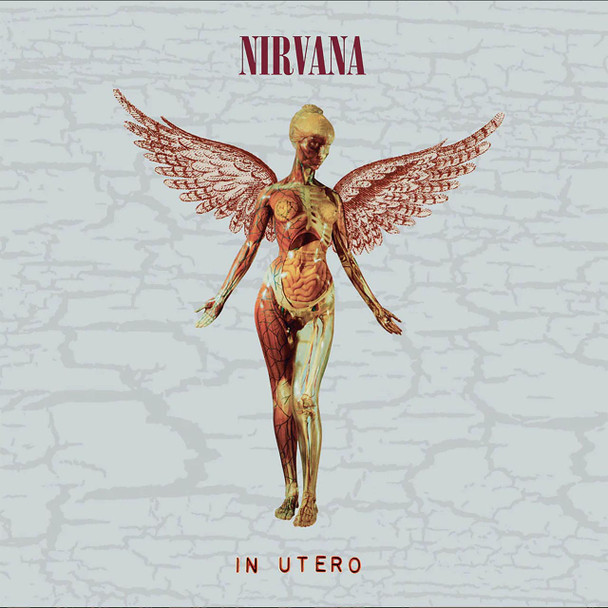 Nirvana - In Utero (8LP) - Deluxe Edition 30th Anniversary Boxset