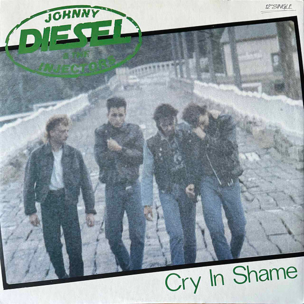 Actual image of the vinyl record album artwork of Johnny Diesel & The Injectors's Cry In Shame LP - taken in our Melbourne record store