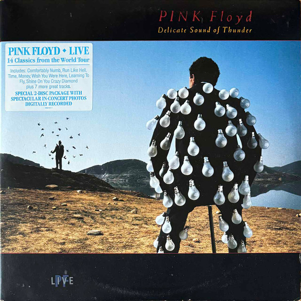 Actual image of the vinyl record album artwork of Pink Floyd's Delicate Sound Of Thunder LP - taken in our Melbourne record store
