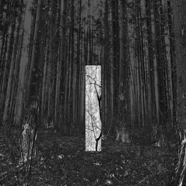 Chris Liebing - Another Day Vinyl Record Album Art