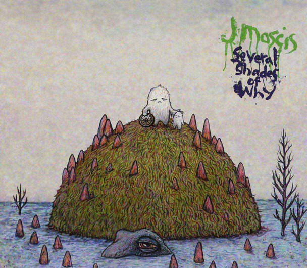 J Mascis - Several Shades Of Why Vinyl Record Album Art