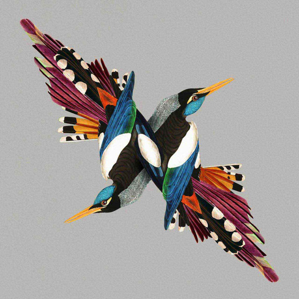 Shire Tea - Tomorrow's People Vinyl Record Album Art