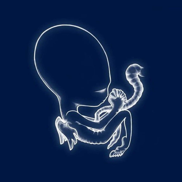 Sigur Ros - Ágætis Byrjun Vinyl Record Album Art
