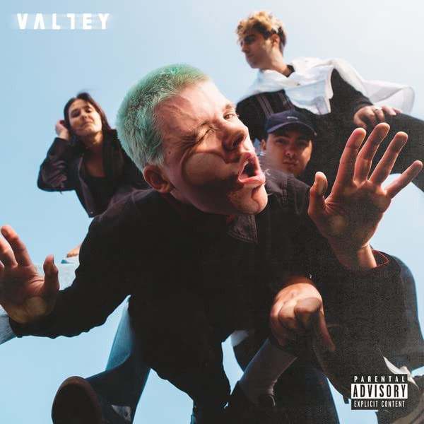 Valley - Sucks To See You Doing Better Vinyl Record Album Art