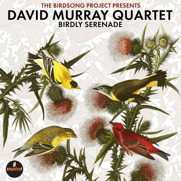 David Murray Quartet - Birdly Serenade Vinyl Record Album Art
