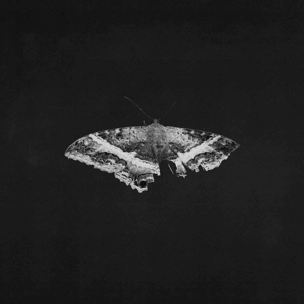 Kendrick Lamar - To Pimp A Butterfly (10th Anniversary) Vinyl Record Album Art