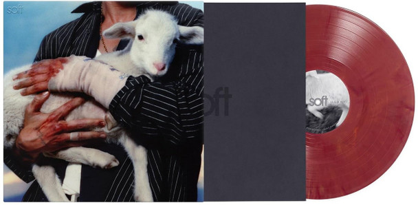 LANY - Soft Vinyl Record Album Art