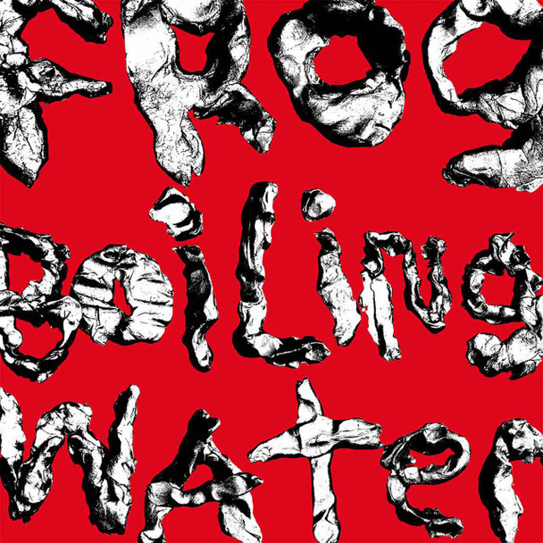 DIIV - Frog In Boiling Water Vinyl Record Album Art