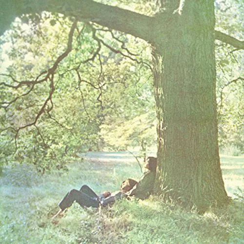 The John Lennon / Plastic Ono Band - John Lennon / Plastic Ono Band Vinyl Record Album Art