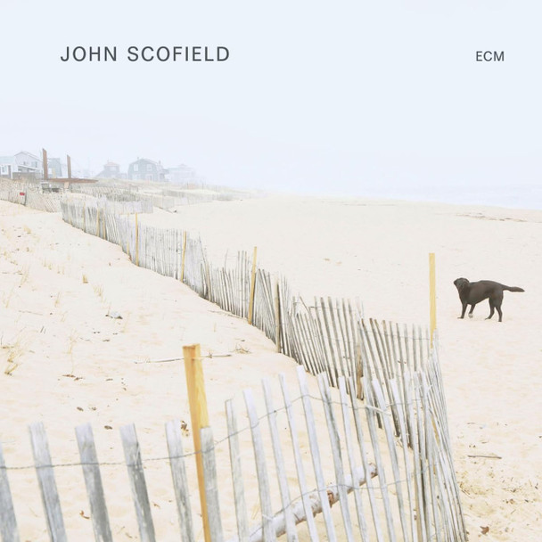John Scofield - John Scofield Vinyl Record Album Art