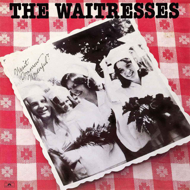 The Waitresses - Wasn't Tomorrow Wonderful? Vinyl Record Album Art