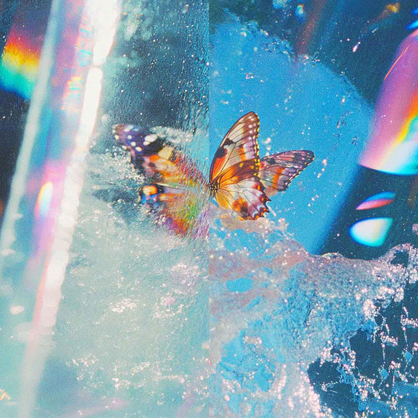 Daphni - Butterfly Vinyl Record Album Art