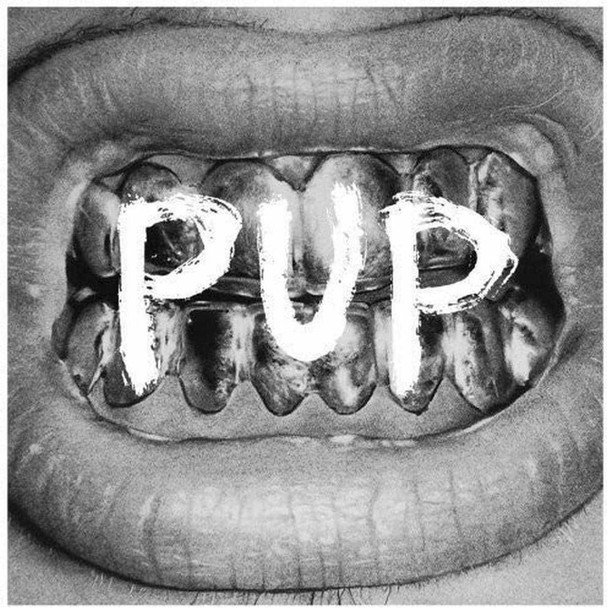 Pup - Pup Vinyl Record Album Art