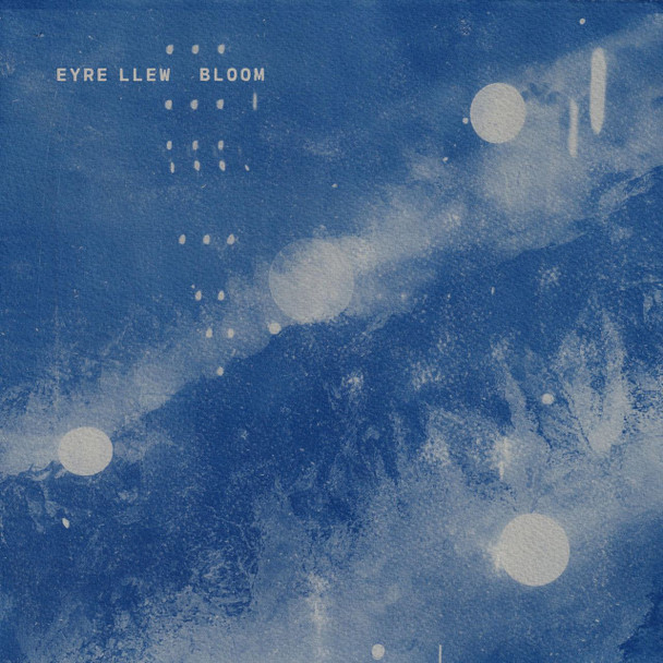 Eyre Llew - Bloom Vinyl Record Album Art