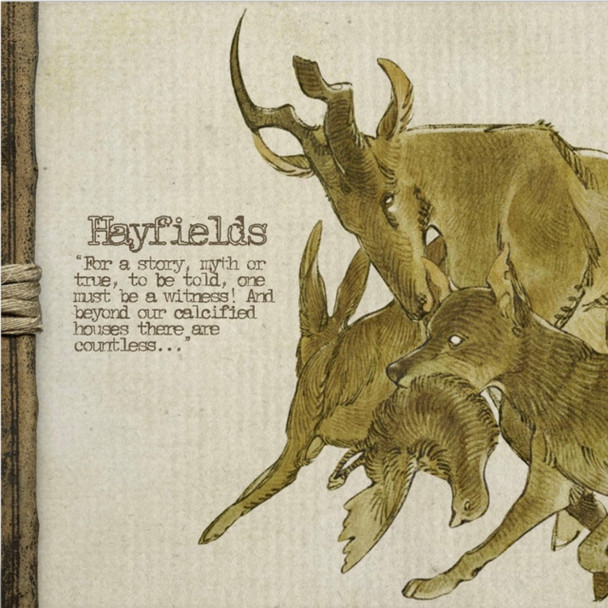 Yaelokre - Hayfields Vinyl Record Album Art