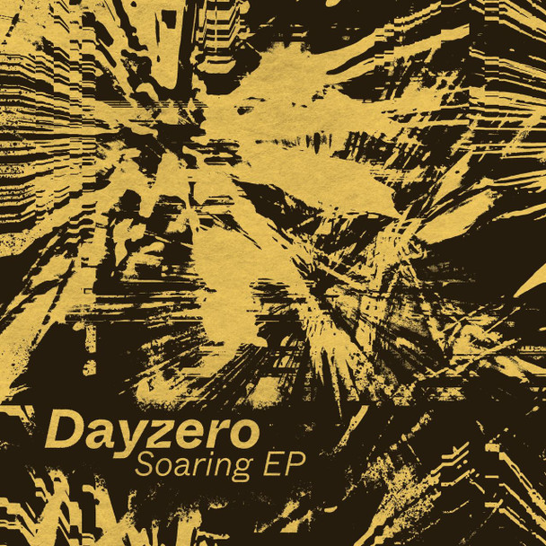 Dayzero - Soaring Vinyl Record Album Art