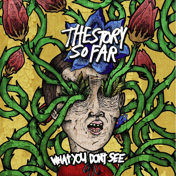 The Story So Far - What You Don't See Vinyl Record Album Art