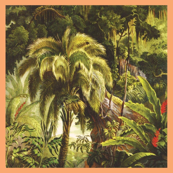 Xiu Xiu - La Foret Vinyl Record Album Art