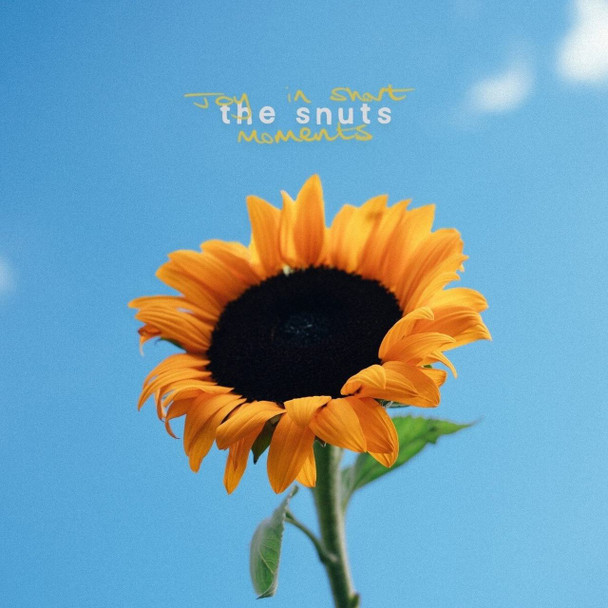 The Snuts - Joy In Short Moments Vinyl Record Album Art