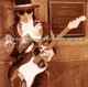 Stevie Ray Vaughan - Live At Carnegie Hall Vinyl Record Album Art Stevie Ray Vaughan - Live At Carnegie Hall Vinyl Record Album Art