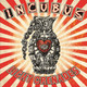 Incubus - Light Grenades Vinyl Record Album Art