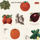Cream - Best Of Cream Vinyl Record Album Art