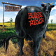 Blink-182 - Dude Ranch Vinyl Record Album Art