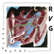 RVG - Brain Worms Vinyl Record Album Art