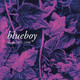 Blueboy - Singles 1991​-1998 Vinyl Record Album Art