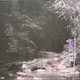 Picture of Fase Luna Vinyl Record