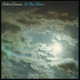Peter Green - In The Skies Vinyl Record Album Art