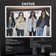 Picture of Cactus Vinyl Record