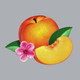 Phoenix - Bankrupt! Vinyl Record Album Art