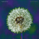 The Bevis Frond - Focus On Nature Vinyl Record Album Art