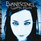 Evanescence - Fallen Vinyl Record Album Art